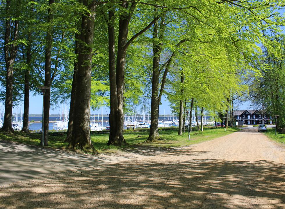 Limfjordslandet 14