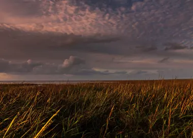 vadehavet-fanoe-jylland