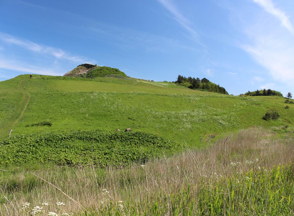 Limfjordslandet 23