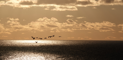 Holiday in late summer