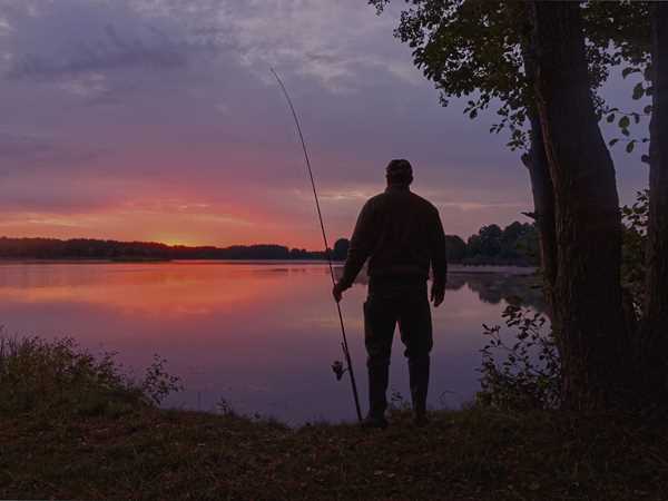 Pure relaxation in the angler's paradise