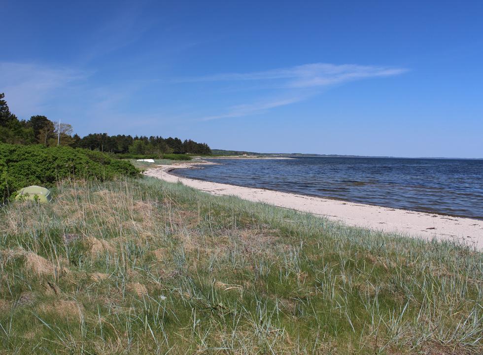 Limfjordslandet 10