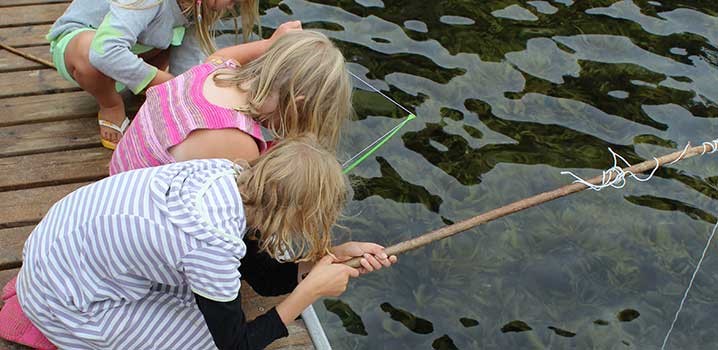 Children would love to have a closer look at the exciting creatures living in the sea